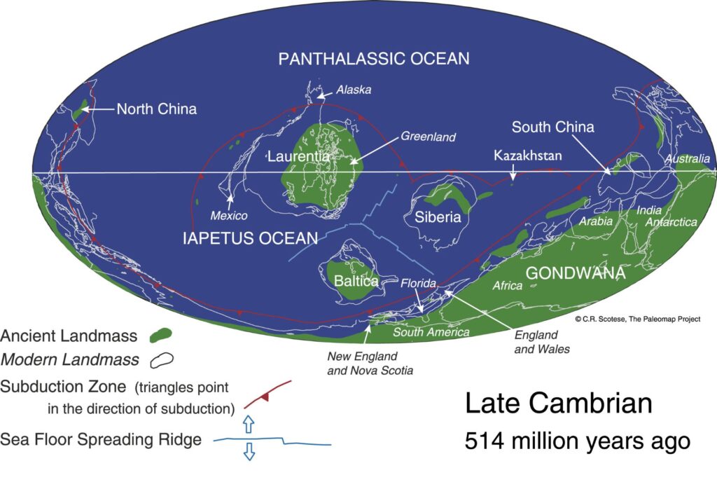 Adapted from Dr C Scotese Paleomap Cambrian 514 Ma