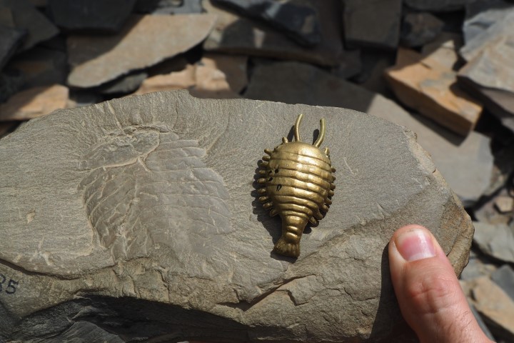 The Cambrian Explosion and the Burgess Shale - The Burgess Shale Geoscience  Foundation