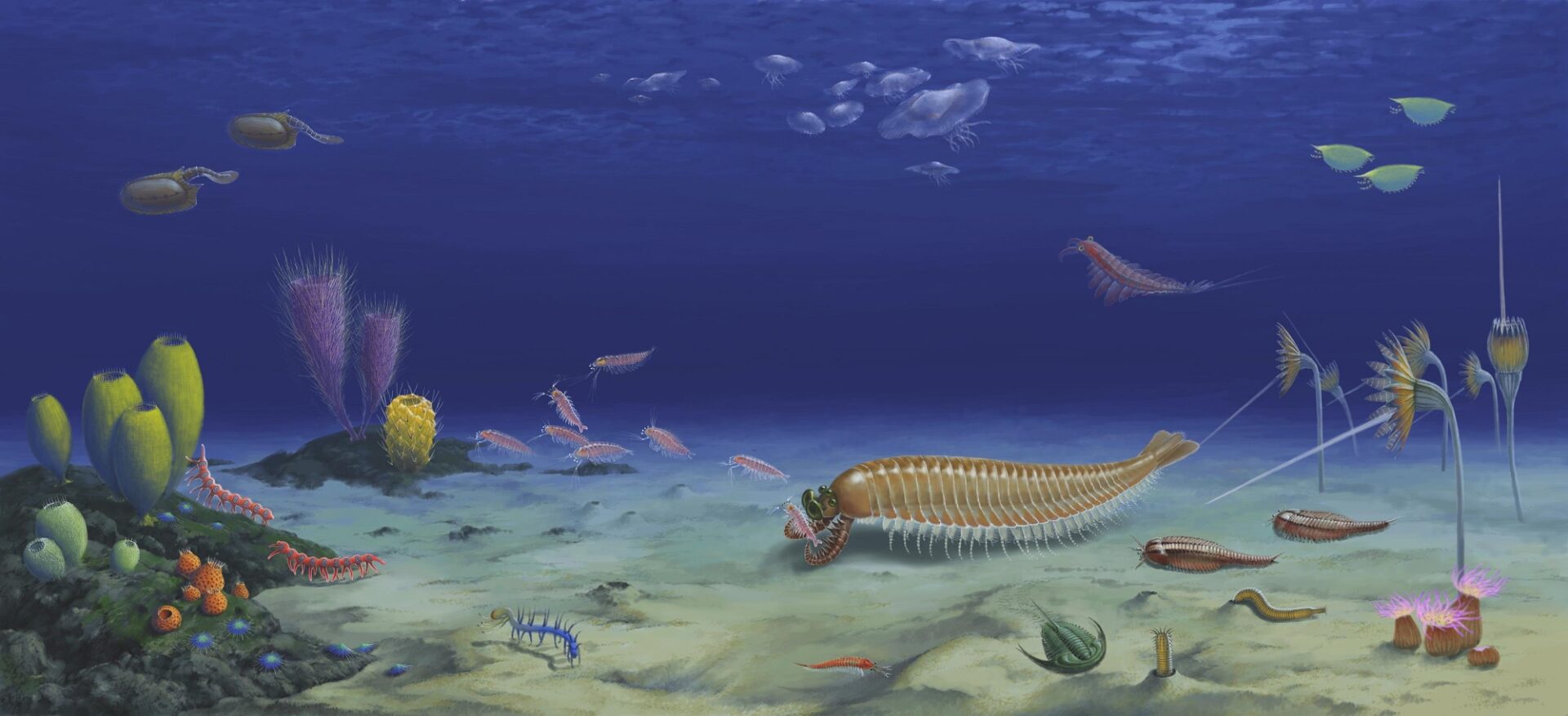 Ecological reconstruction of Kylinxia zhangi. (Artwork by D.-Y. Huang & H. Zeng)