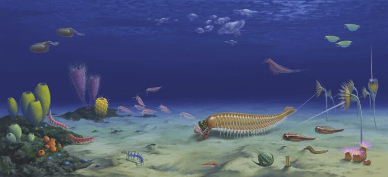 Ecological reconstruction of Kylinxia zhangi. (Artwork by D.-Y. Huang & H. Zeng)
